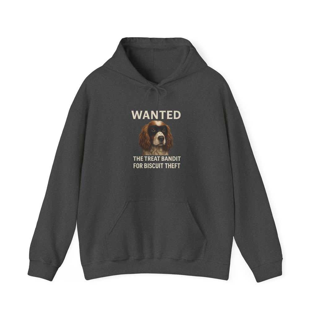The Biscuit Thief – Spaniel ‘Most Wanted’ Jumper
