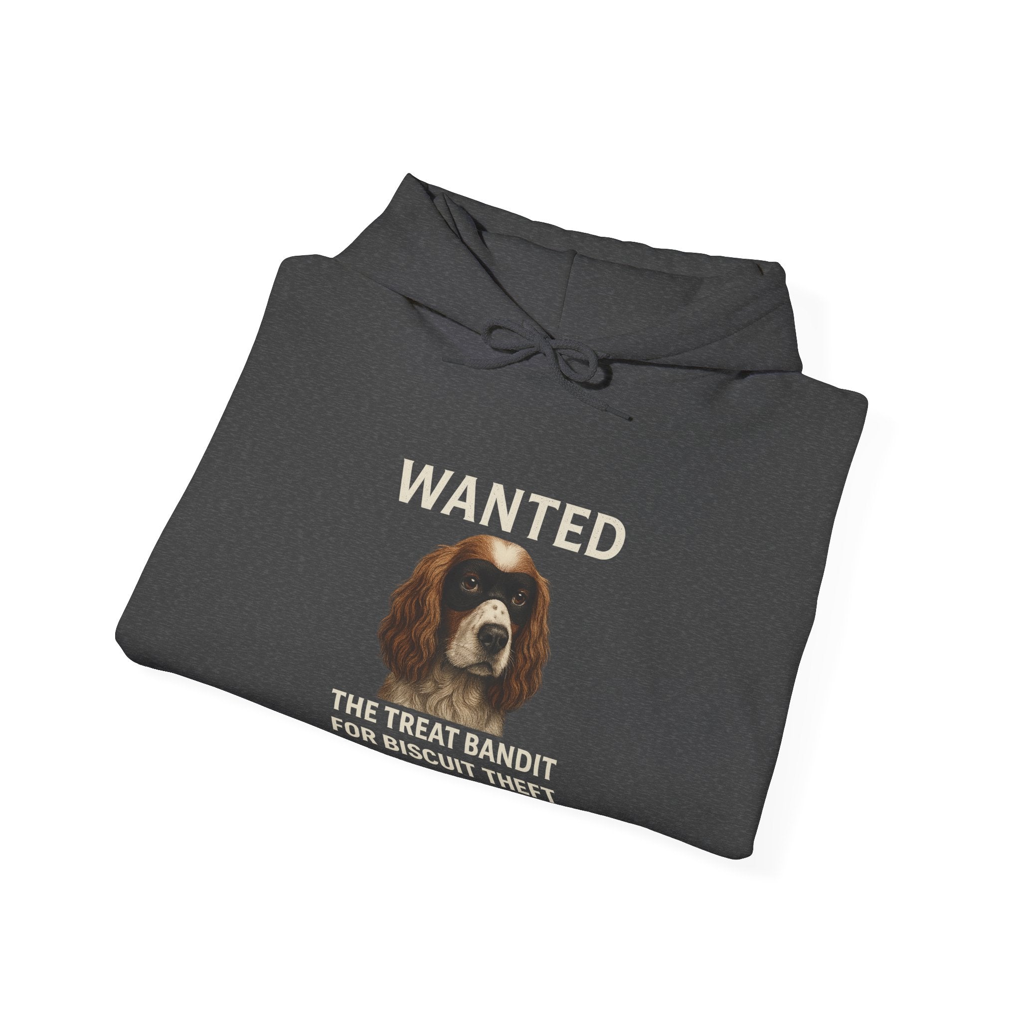 The Biscuit Thief – Spaniel ‘Most Wanted’ Jumper