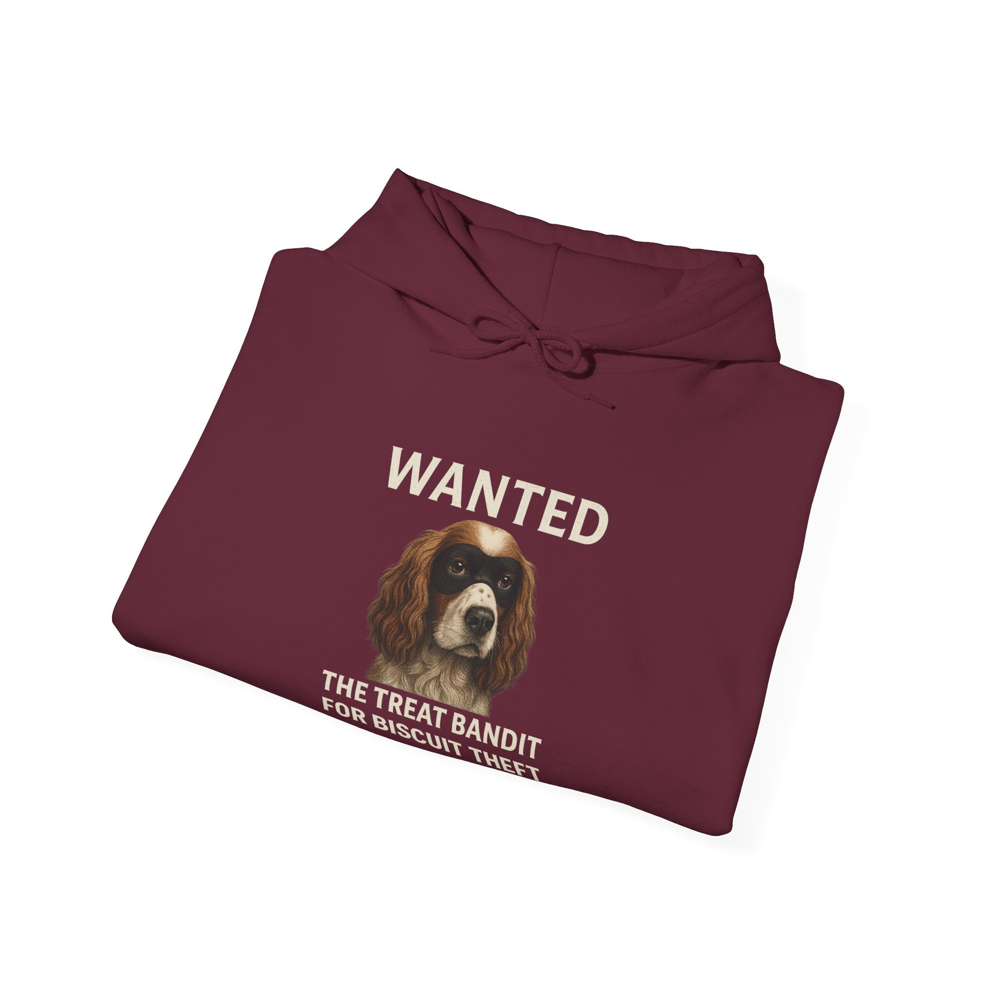 The Biscuit Thief – Spaniel ‘Most Wanted’ Jumper