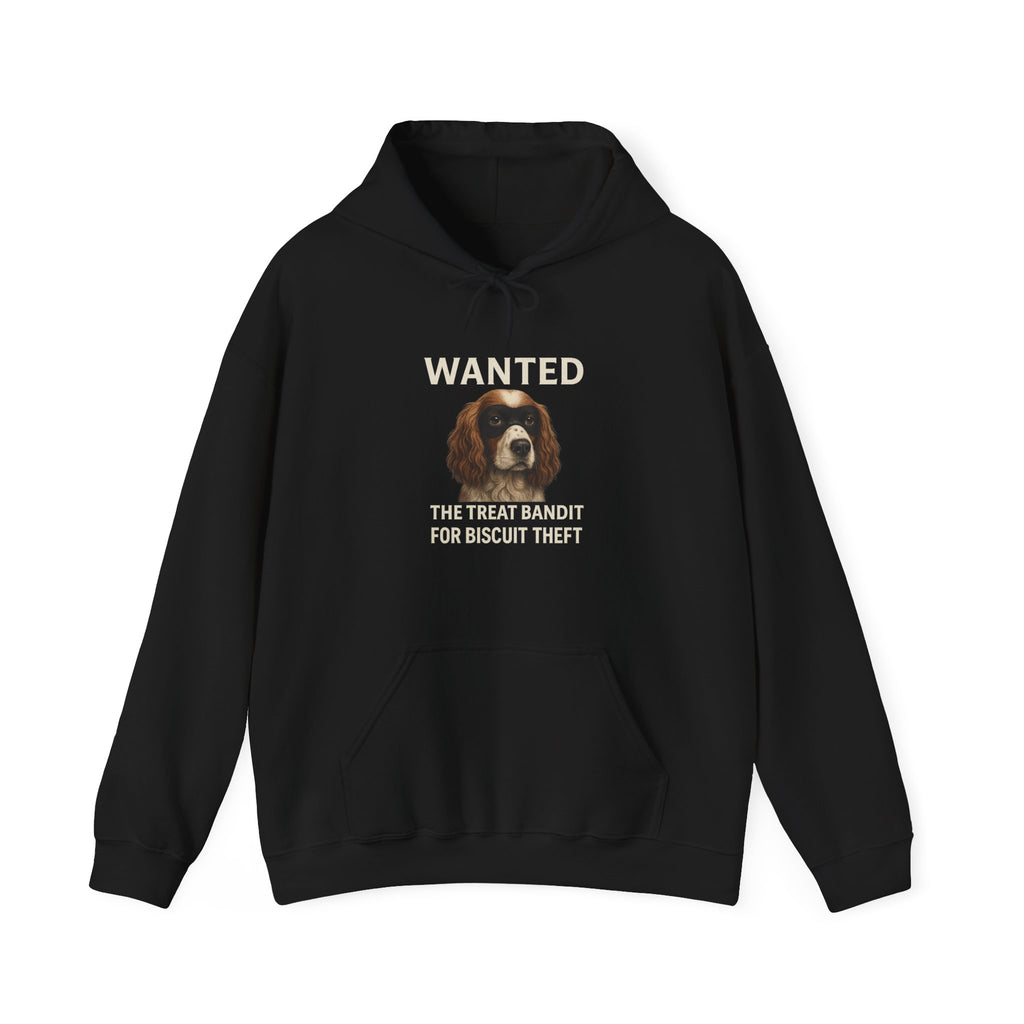 The Biscuit Thief – Spaniel ‘Most Wanted’ Jumper