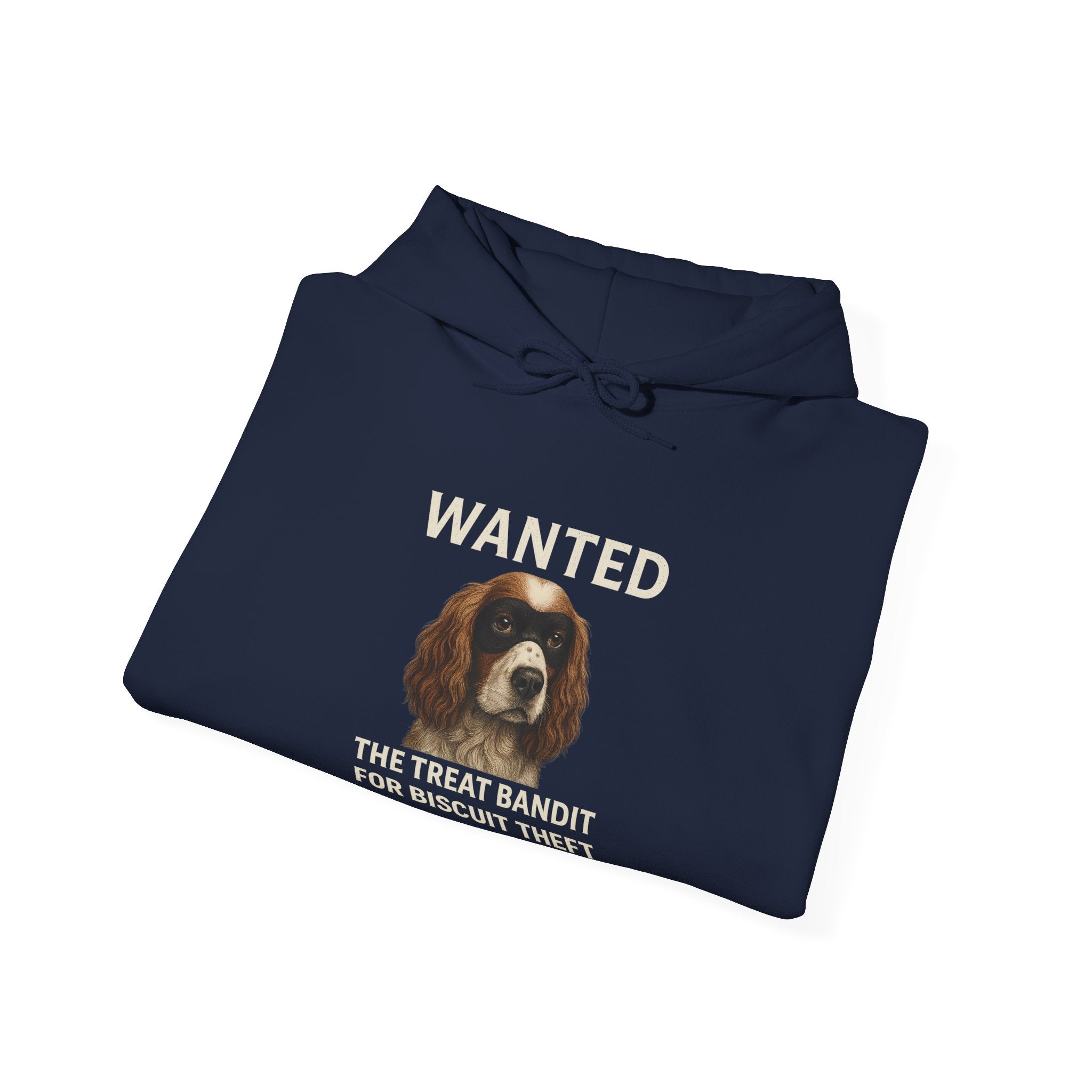 The Biscuit Thief – Spaniel ‘Most Wanted’ Jumper