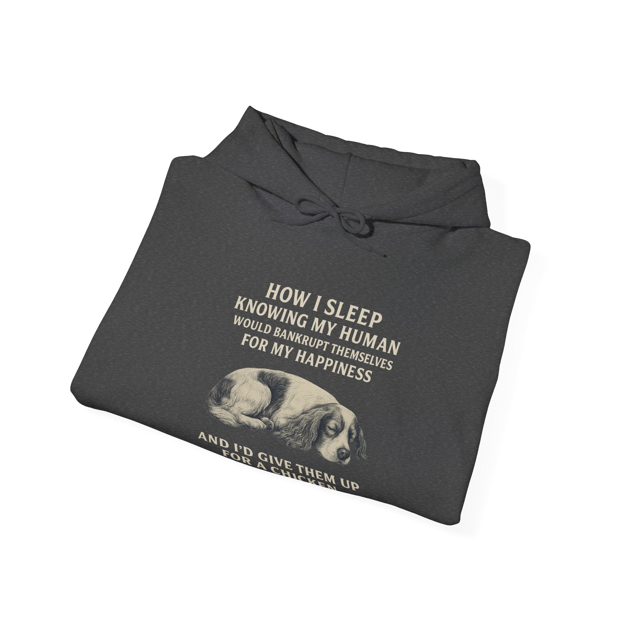 “Bankrupt for My Happiness” Spaniel Hoodie