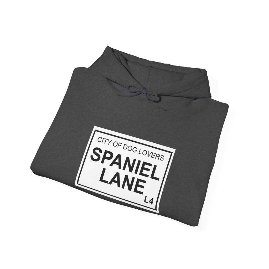 Spaniel Lane Hoodie – City of Dog Lovers Edition