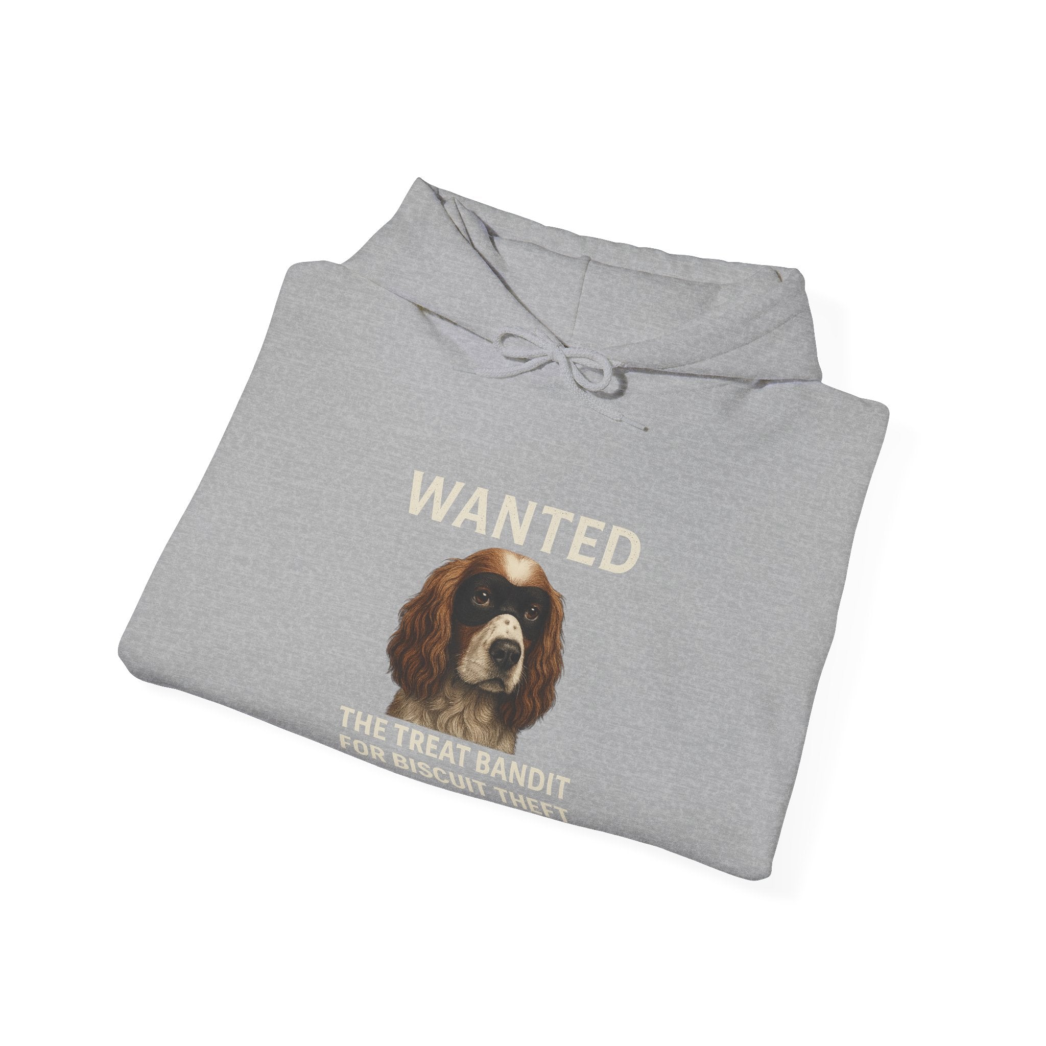 The Biscuit Thief – Spaniel ‘Most Wanted’ Jumper